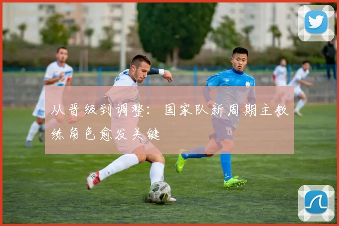 从晋级到调整：国家队新周期主教练角色愈发关键