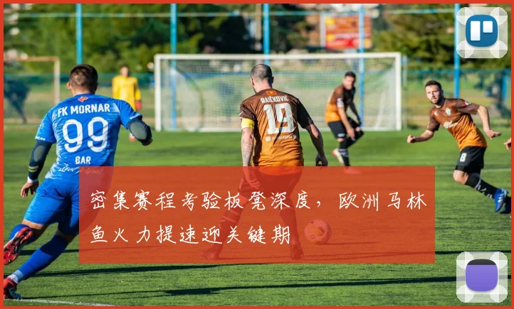 密集赛程考验板凳深度，欧洲马林鱼火力提速迎关键期